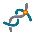 Curve-Curve. Find the intersection points between two curves.