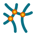 Multiple Curves. Find the intersections between multiple curves.