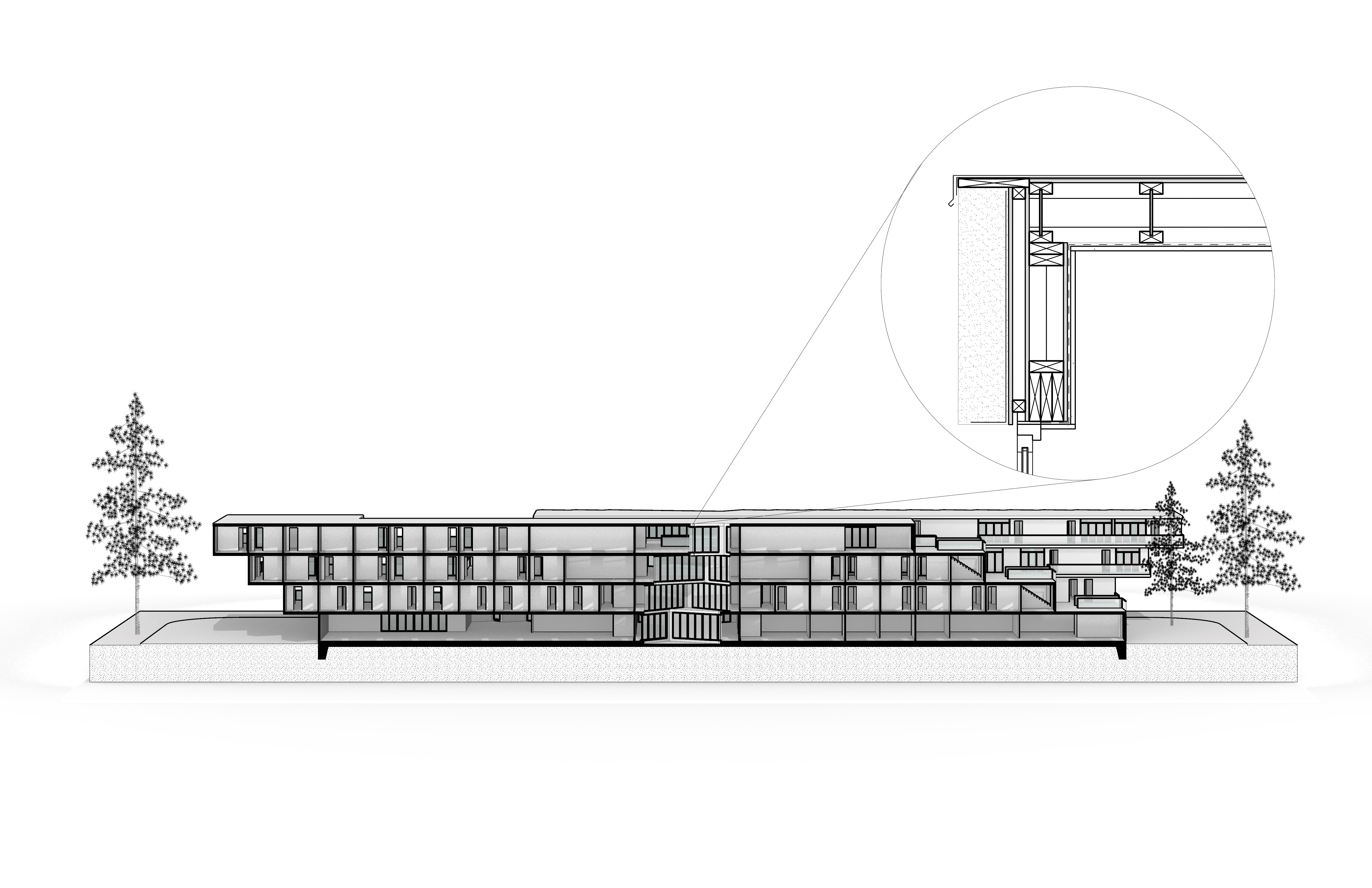Create a Section Perspective