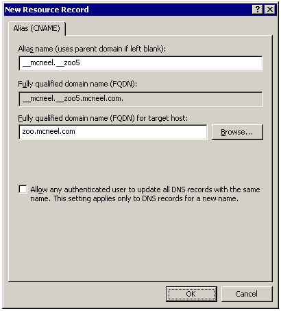 DNS alias record