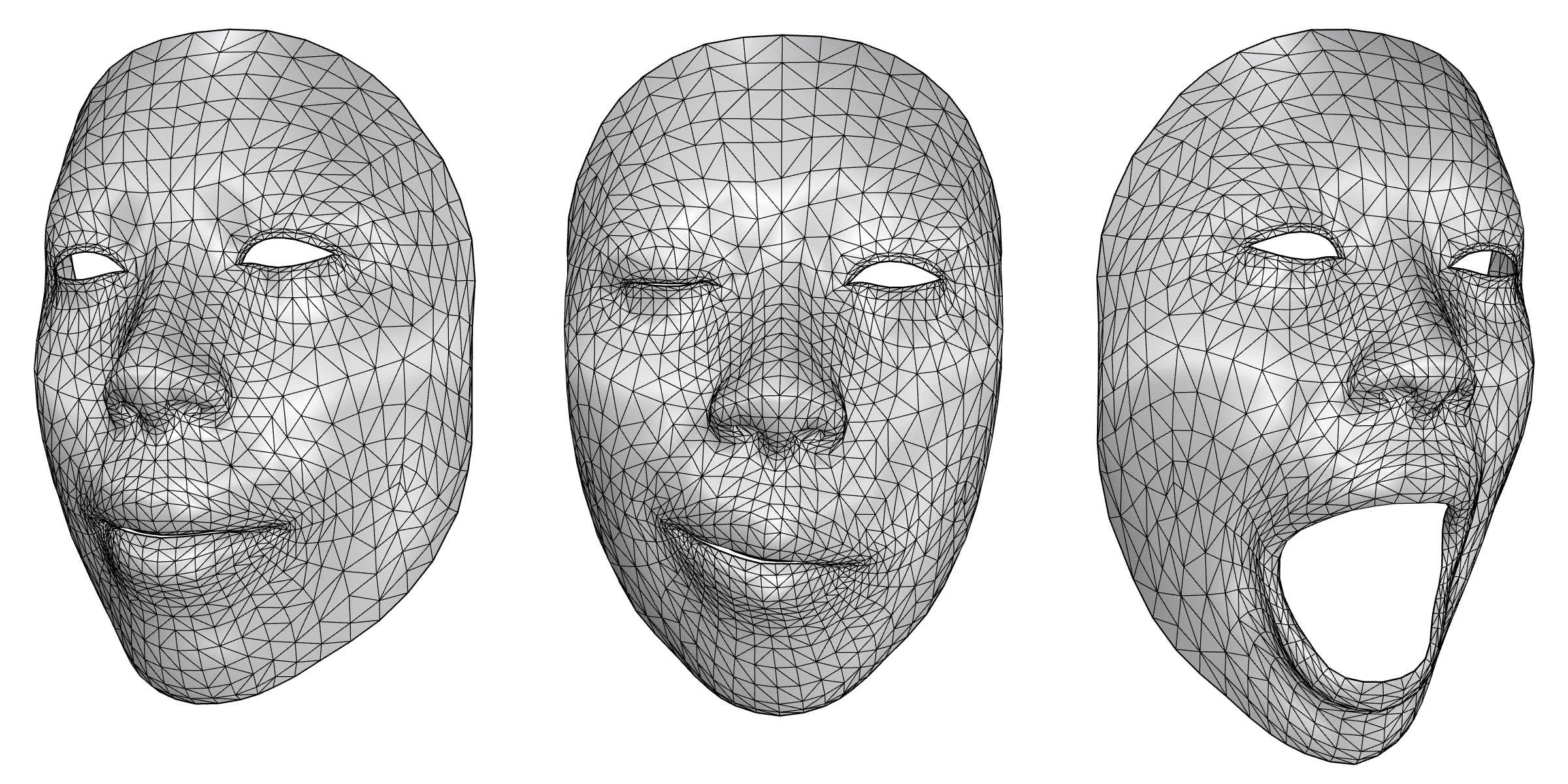 Face mesh