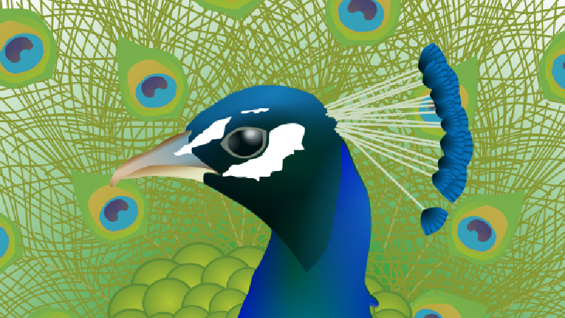images/jewelry-peacock.png